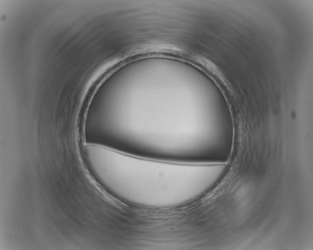 X0000080171024200612081047