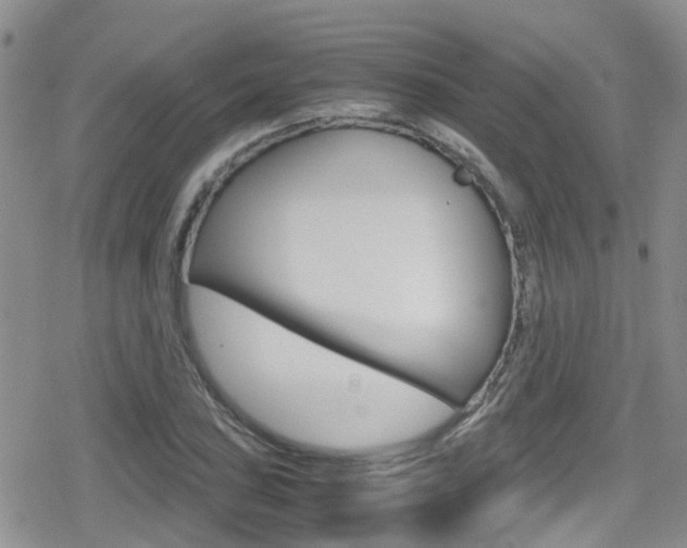 X0000080171027200612081047