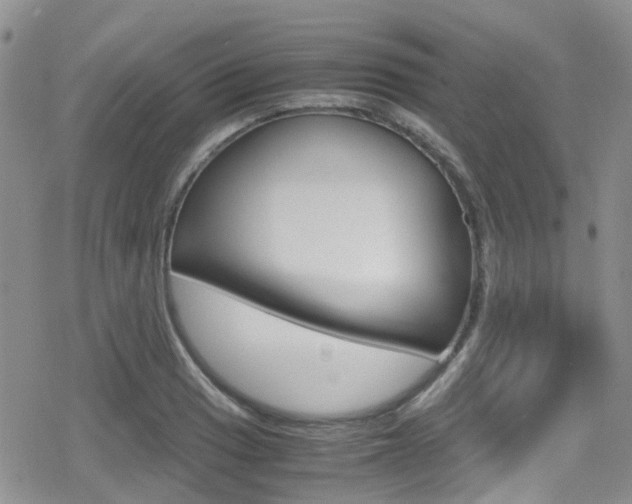 X0000080171033200612081047