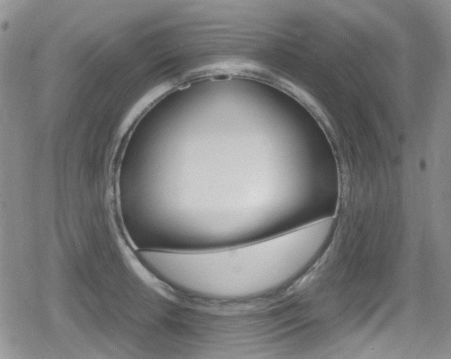X0000080171042200612081047