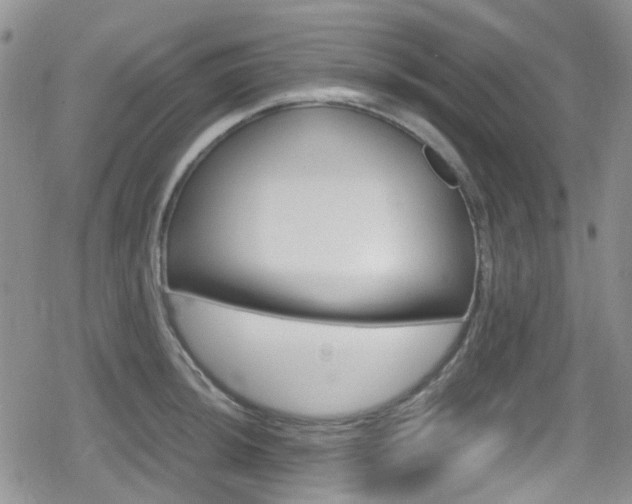 X0000080171044200612081047