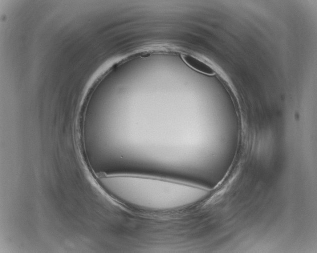 X0000080171045200612081047