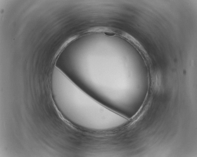 X0000080171049200612081047