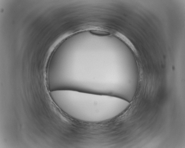 X0000080171051200612081047