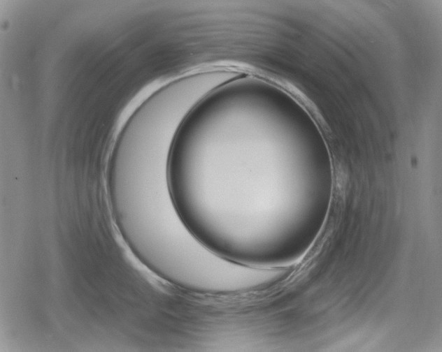 X0000080171054200612081047