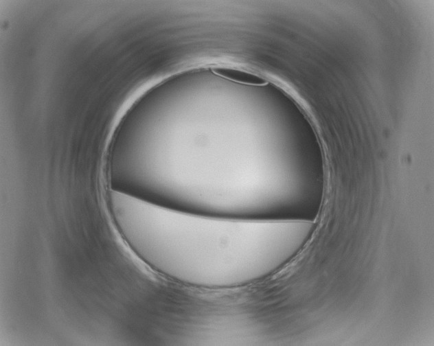 X0000080171056200612081047