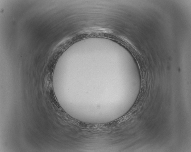 X0000080171063200612081046