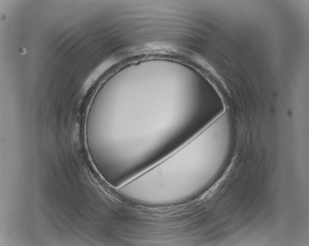 X0000080171066200612081046