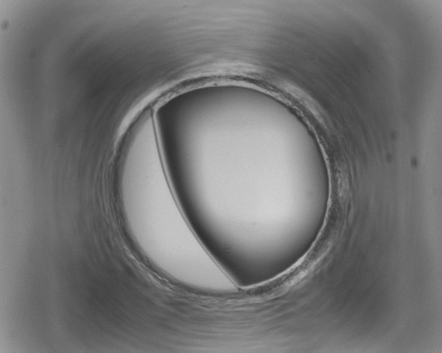 X0000080171069200612081046
