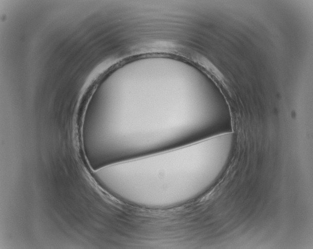X0000080171072200612081046