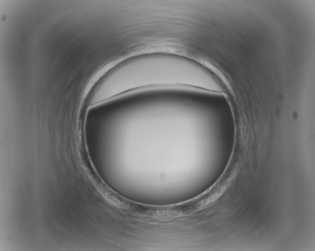 X0000080171077200612081046