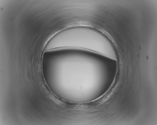 X0000080171081200612081046