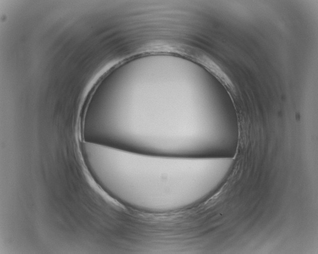 X0000080171084200612081046