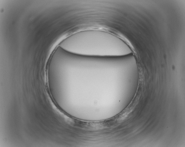 X0000080171095200612081046