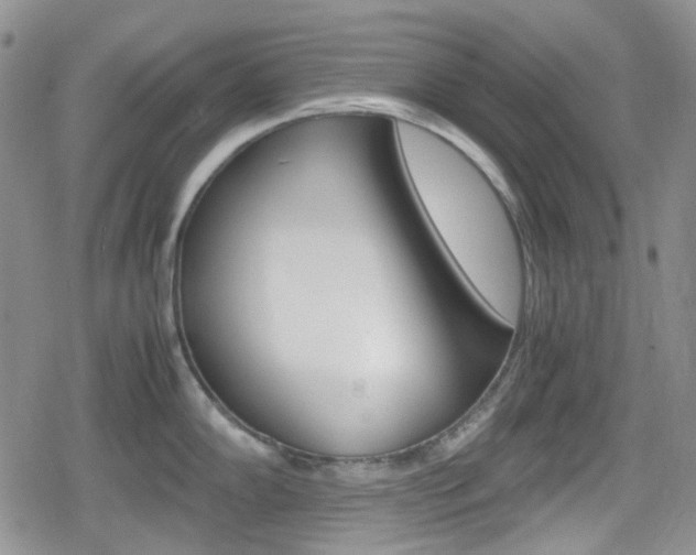 X0000080171102200612081046