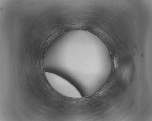 X0000080171107200612081045