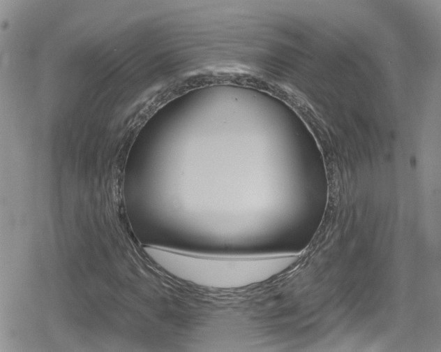 X0000080171110200612081045