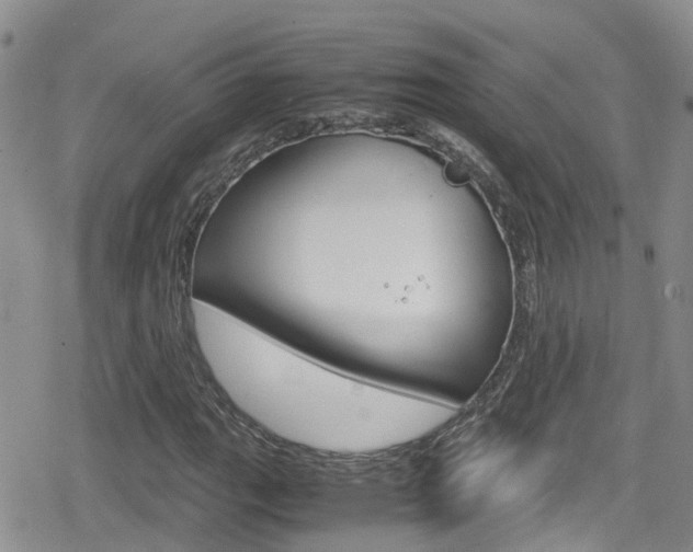 X0000080171111200612081045