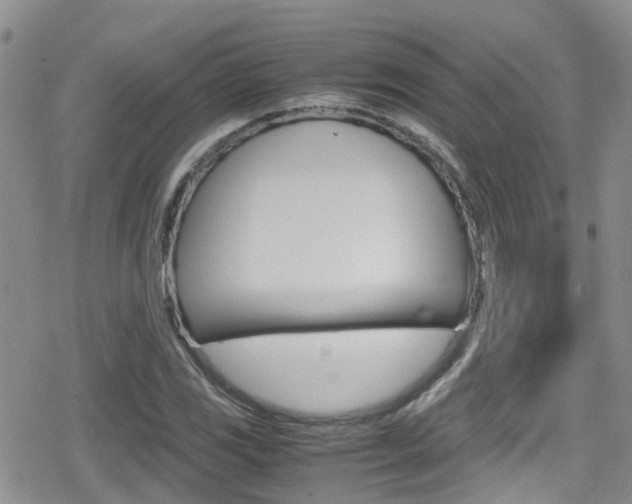 X0000080171117200612081045