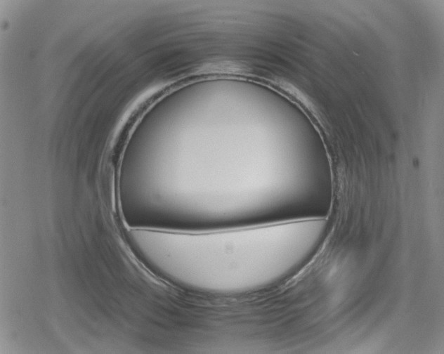 X0000080171123200612081045