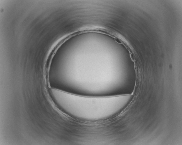 X0000080171124200612081045