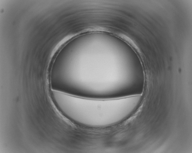 X0000080171133200612081045