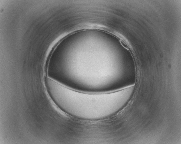 X0000080171136200612081045