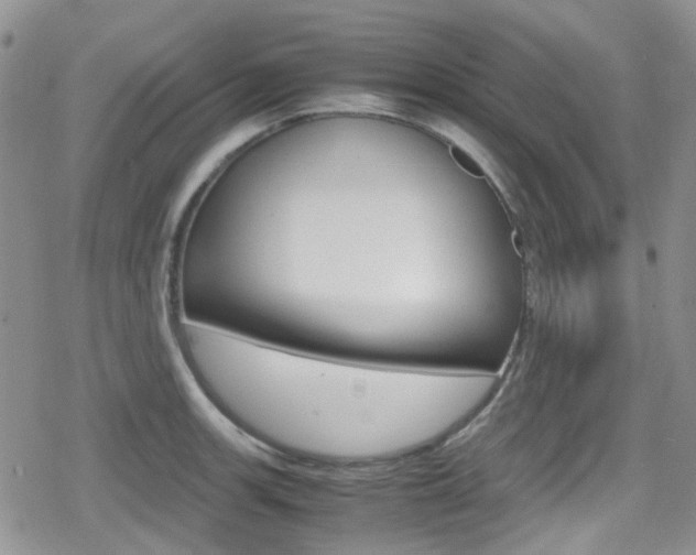 X0000080171139200612081045