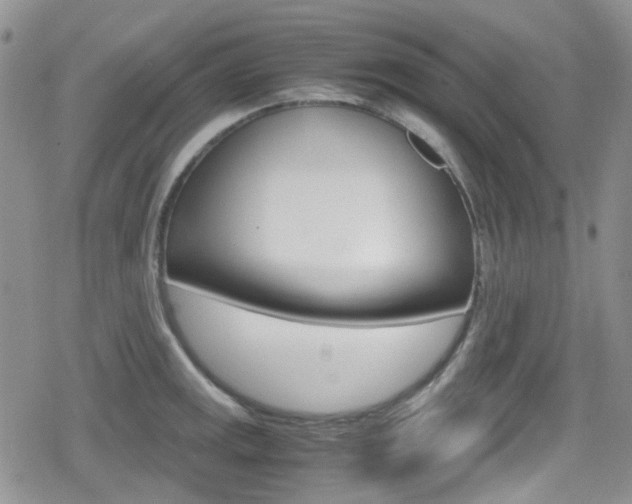 X0000080171141200612081045