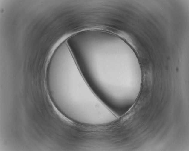 X0000080171143200612081046