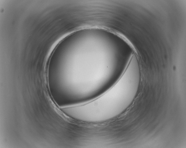 X0000080171148200612081046