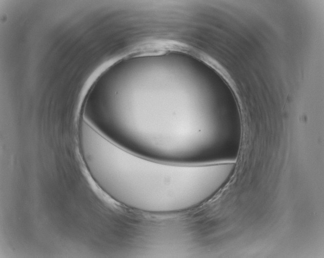 X0000080171152200612081046