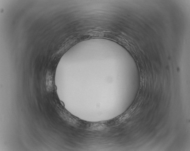 X0000080171154200612081045