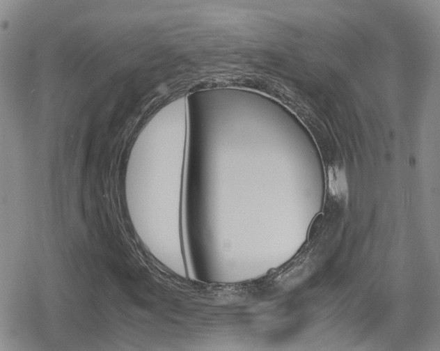 X0000080171155200612081045