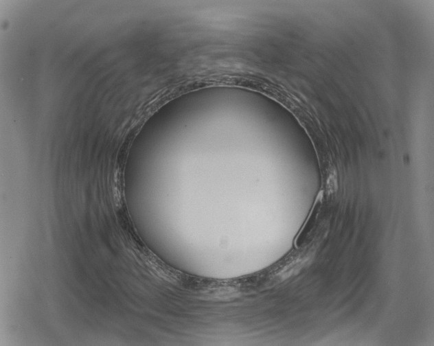 X0000080171156200612081045