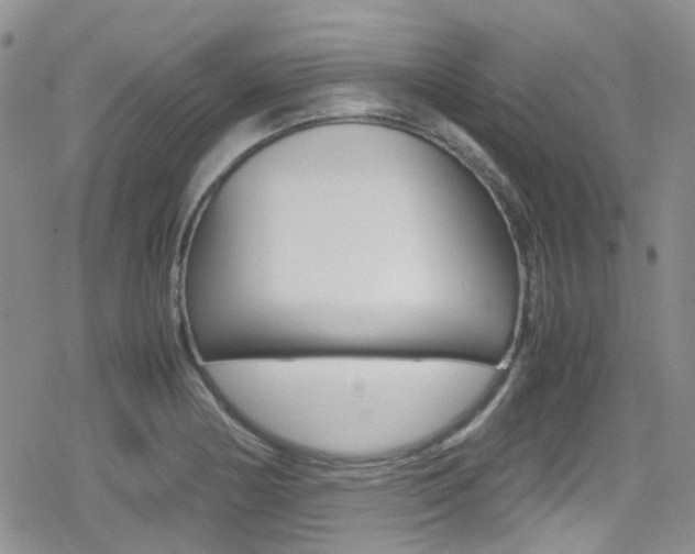 X0000080171178200612081044