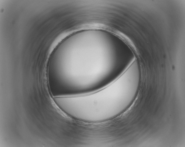 X0000080171192200612081044