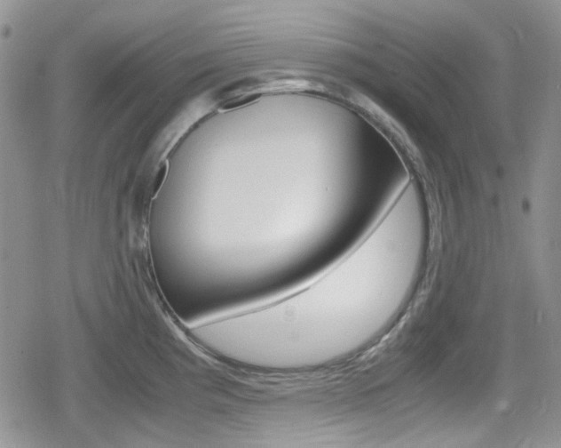 X0000080171193200612081044