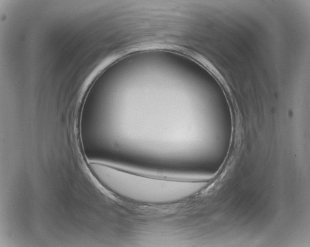 X0000080171197200612081044
