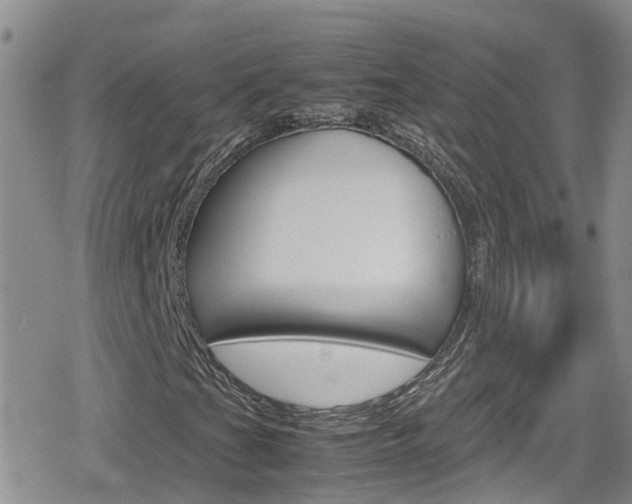 X0000080171201200612081043