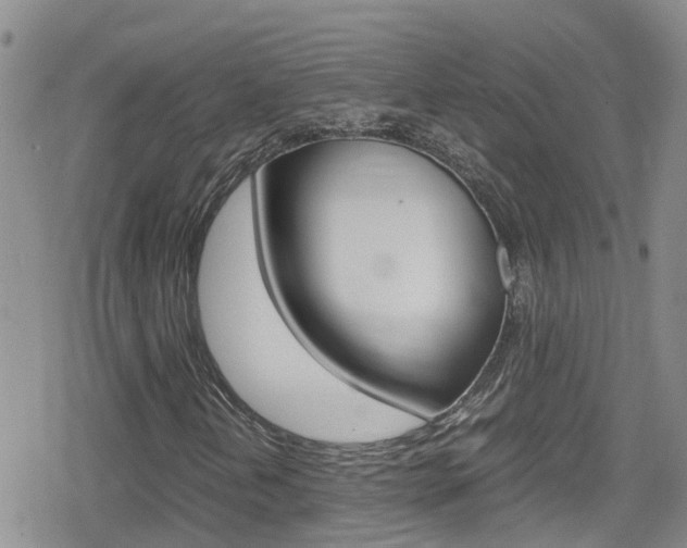 X0000080171202200612081043