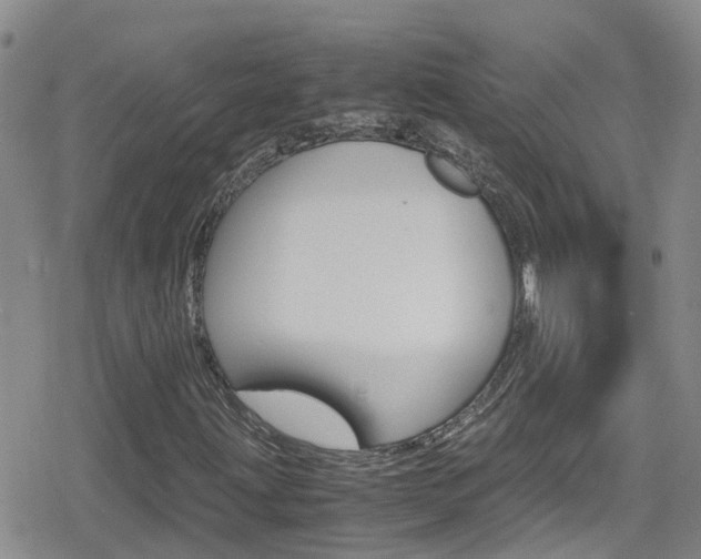 X0000080171203200612081043