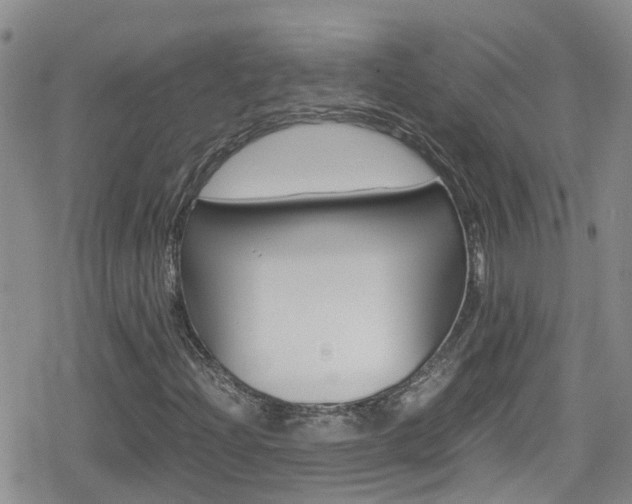 X0000080171204200612081043