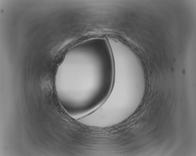 X0000080171206200612081043