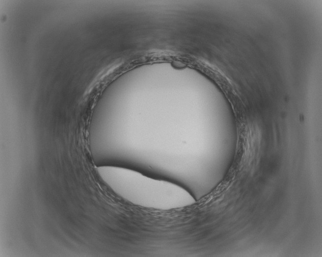 X0000080171207200612081043