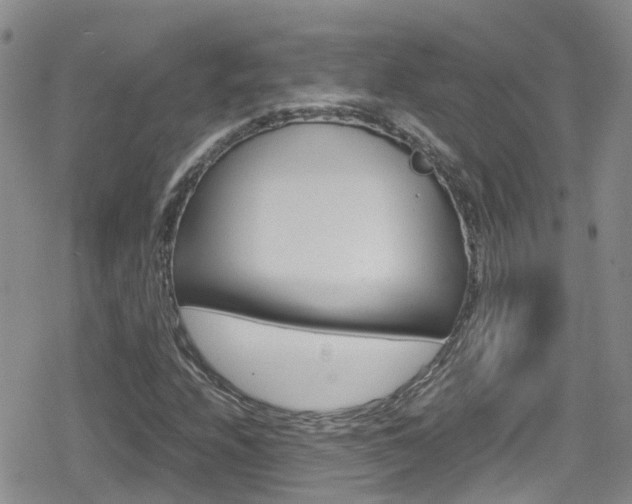 X0000080171208200612081043