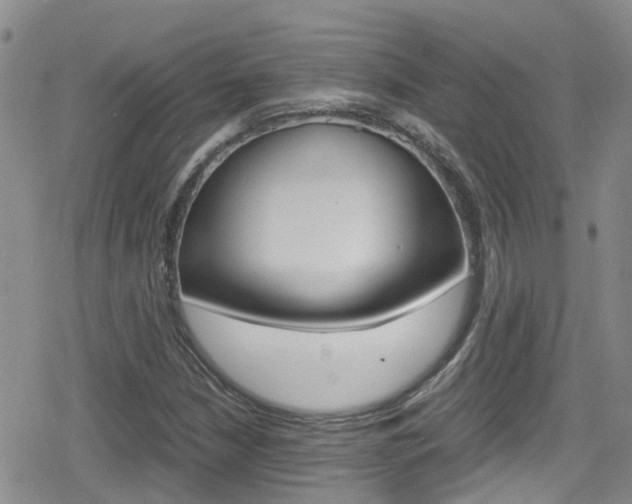 X0000080171210200612081044