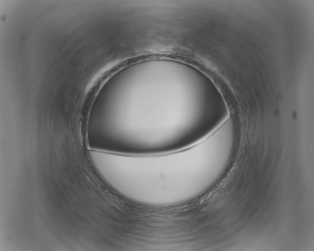 X0000080171214200612081044