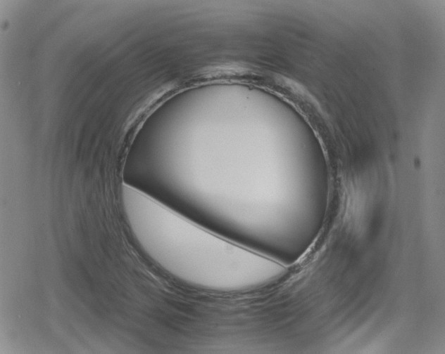 X0000080171217200612081044
