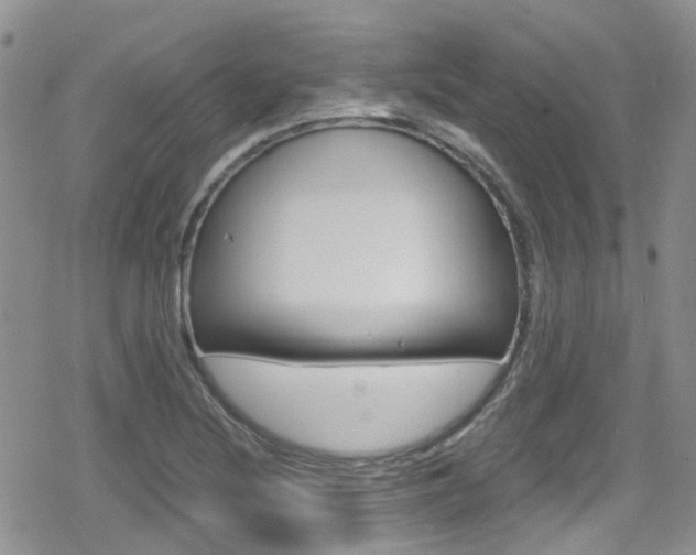 X0000080171220200612081044